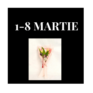 1-8 MARTIE